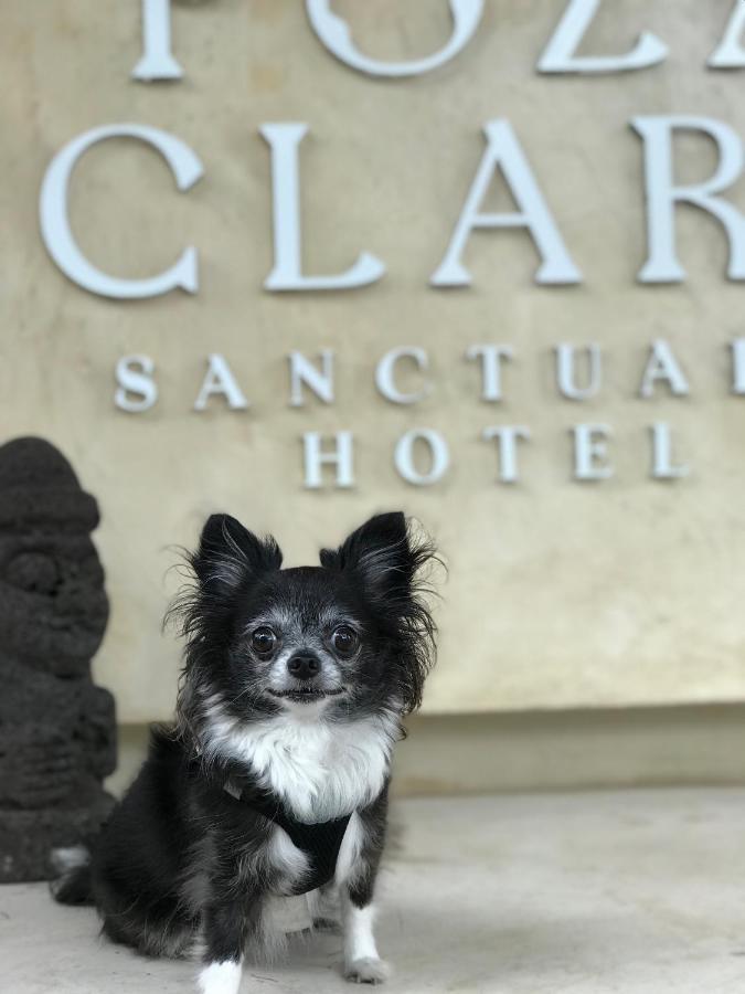 ホテル Poza Clara Sanctuary バカラル エクステリア 写真